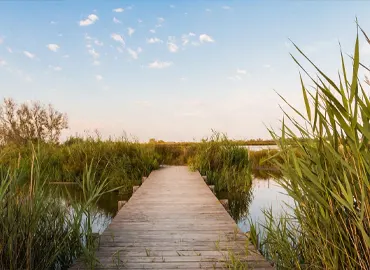 Ouest de la Camargue